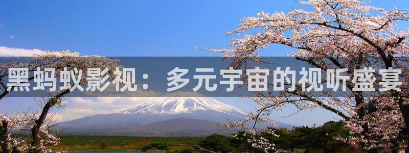 酷客影院在線觀看免費(fèi)高清電視劇網(wǎng)站：黑螞蟻影視：多元宇宙的視聽盛宴