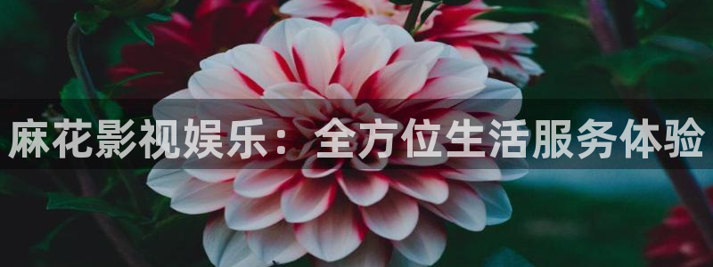 酷客電影新入口：麻花影視娛樂：全方位生活服務體驗